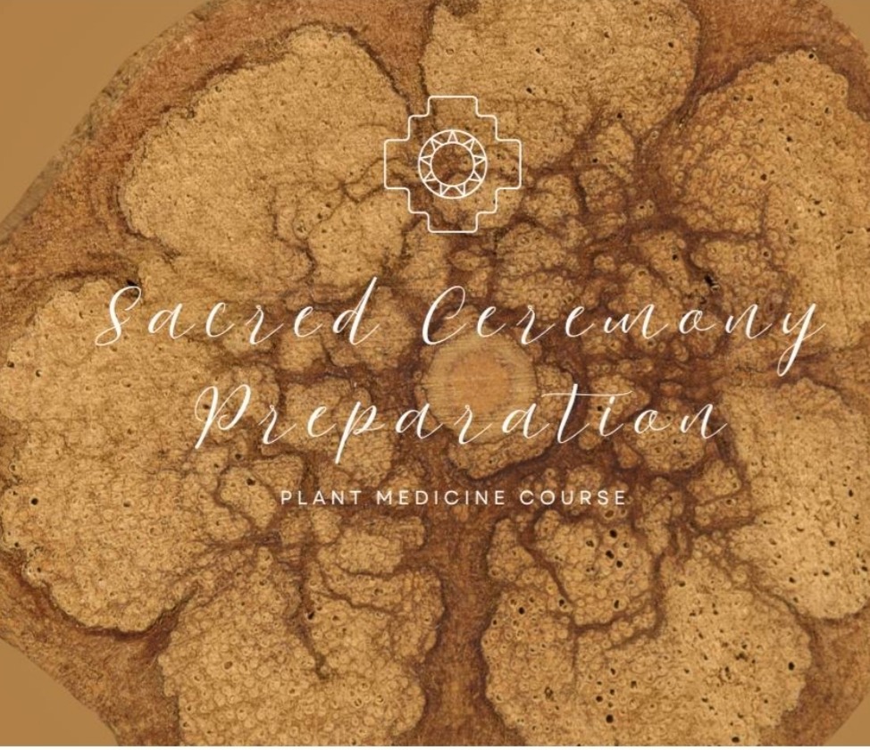 Plant Medicine Prep Course thumbnail