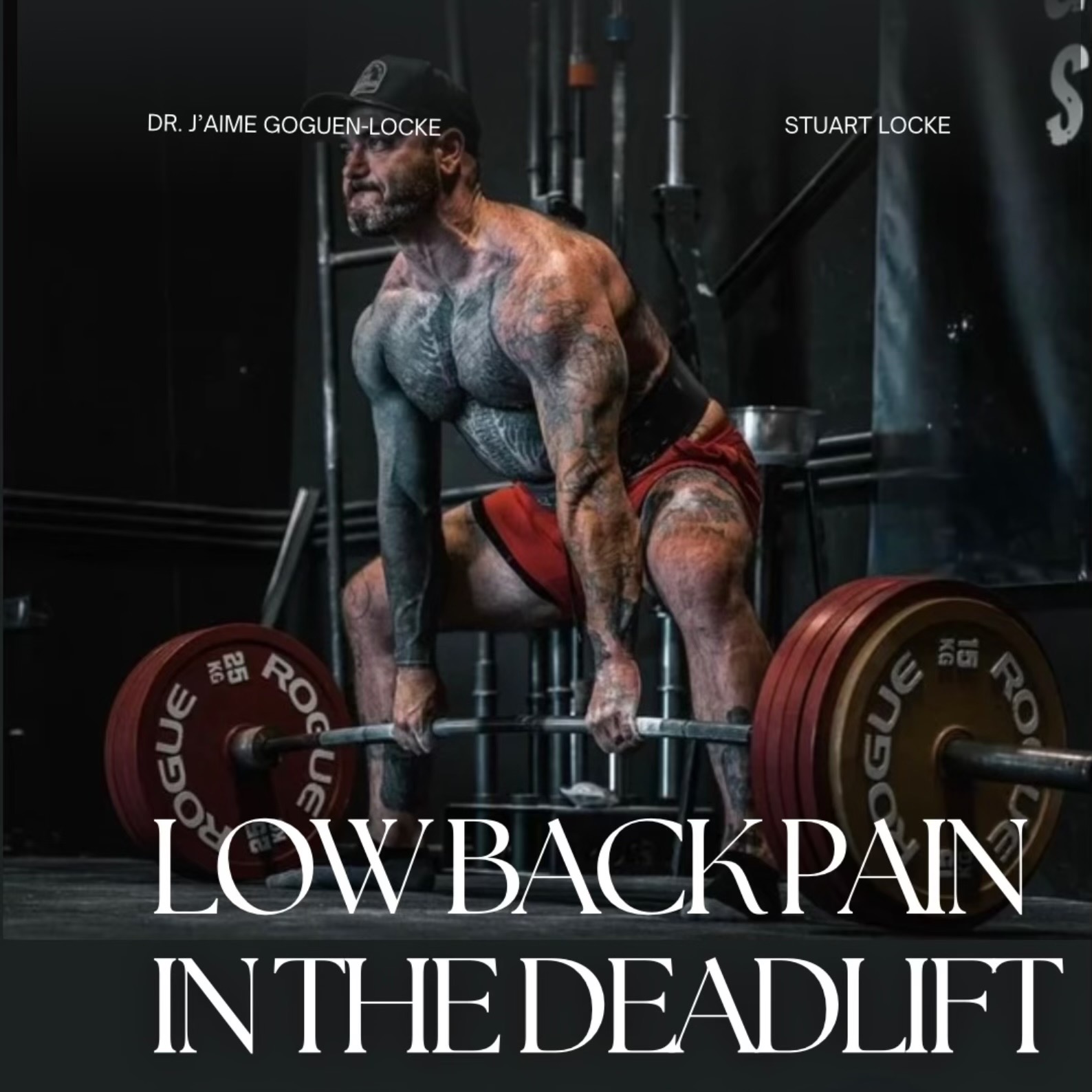 NEW Powerlifting Rehab Plans Squat•Bench•Deadlift thumbnail