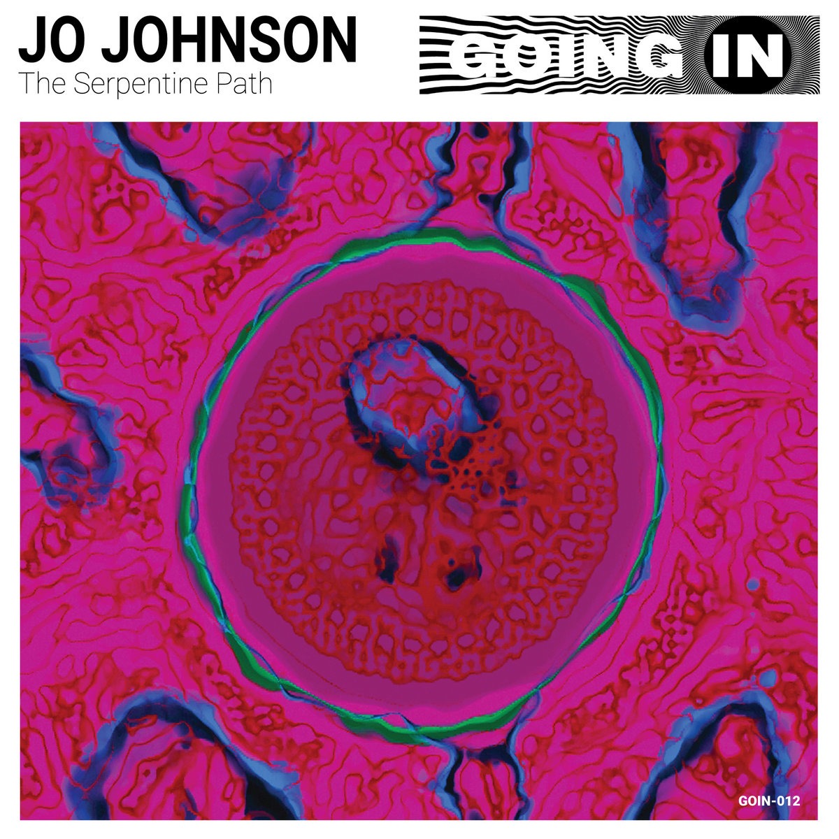 The Serpentine Path 2021 (Going In) thumbnail