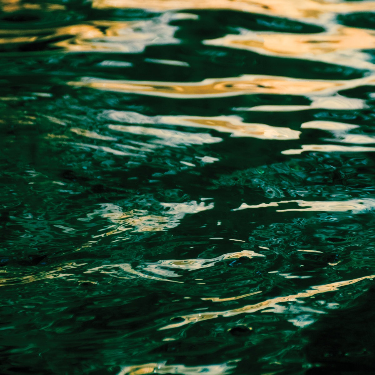 The Wave Ahead 2023 (Mysteries of the Deep) thumbnail