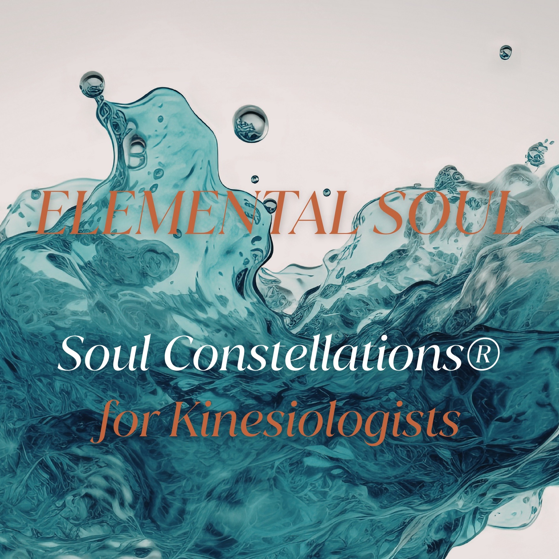 ELEMENTAL SOUL - Soul Constellations® for Kinesiologists thumbnail