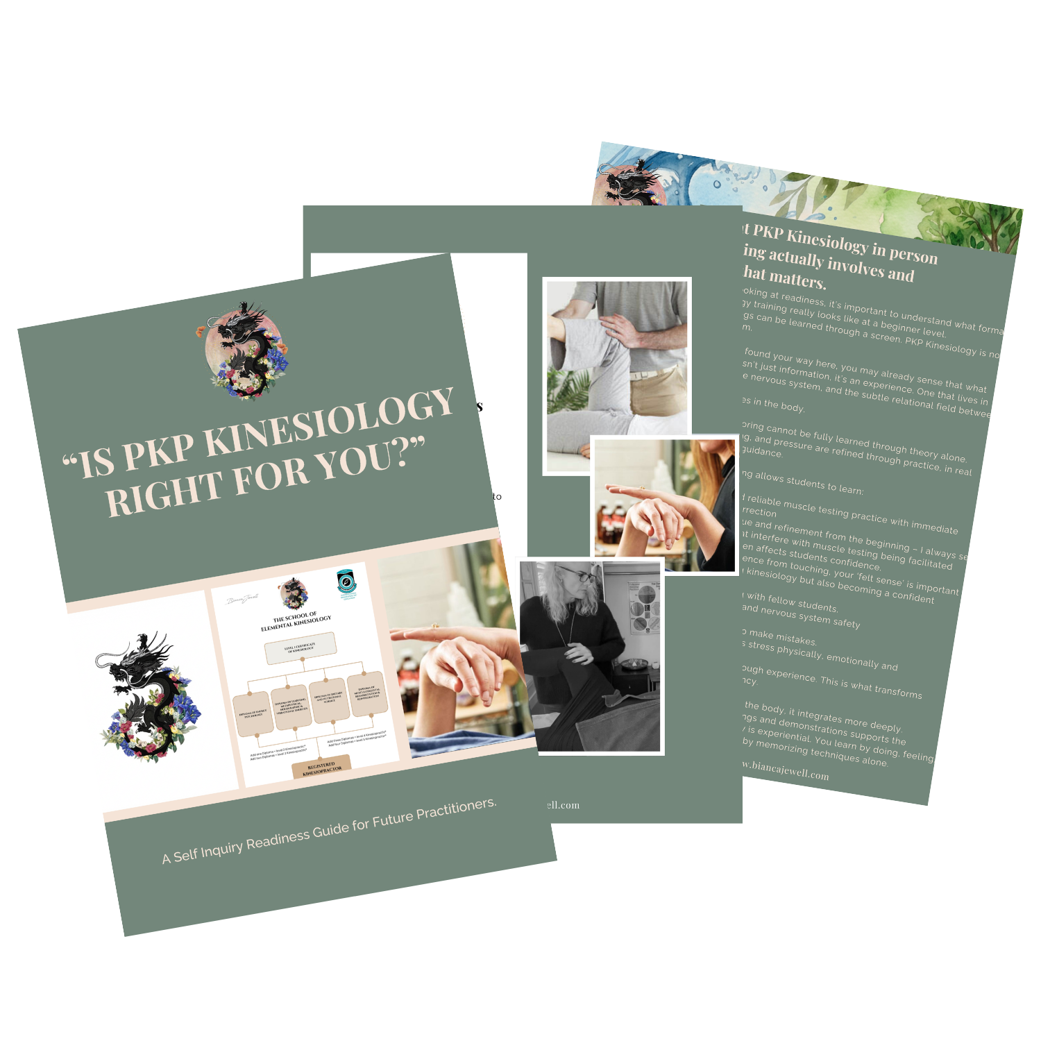 FREE DOWNLOAD - IS PKP KINESIOLOGY RIGHT FOR YOU? thumbnail