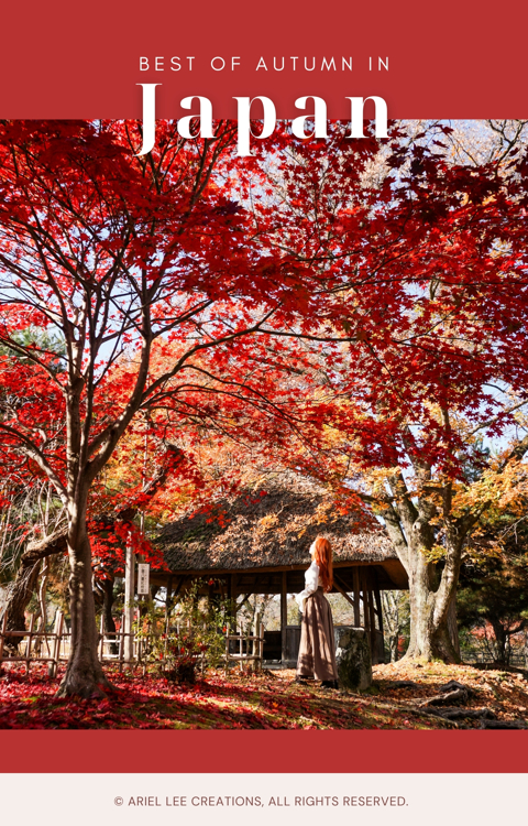 🍁 NEW ✨Autumn in Japan Guide  thumbnail