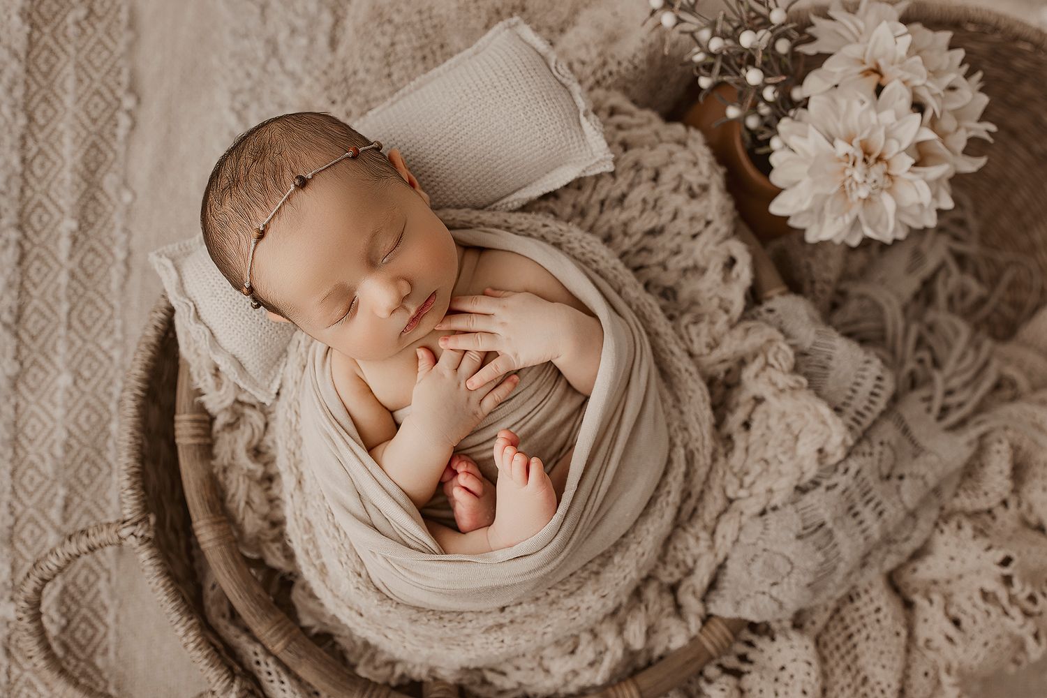 Clermont Newborn Photographer thumbnail