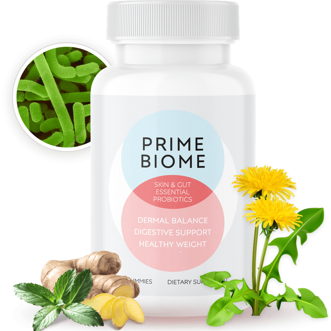 PRIMEBIOME thumbnail