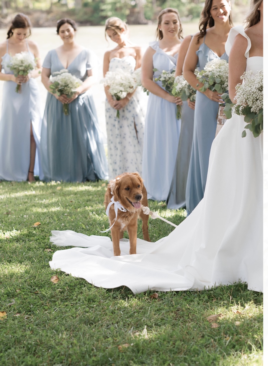 The Barn & Farm Wedding Book thumbnail