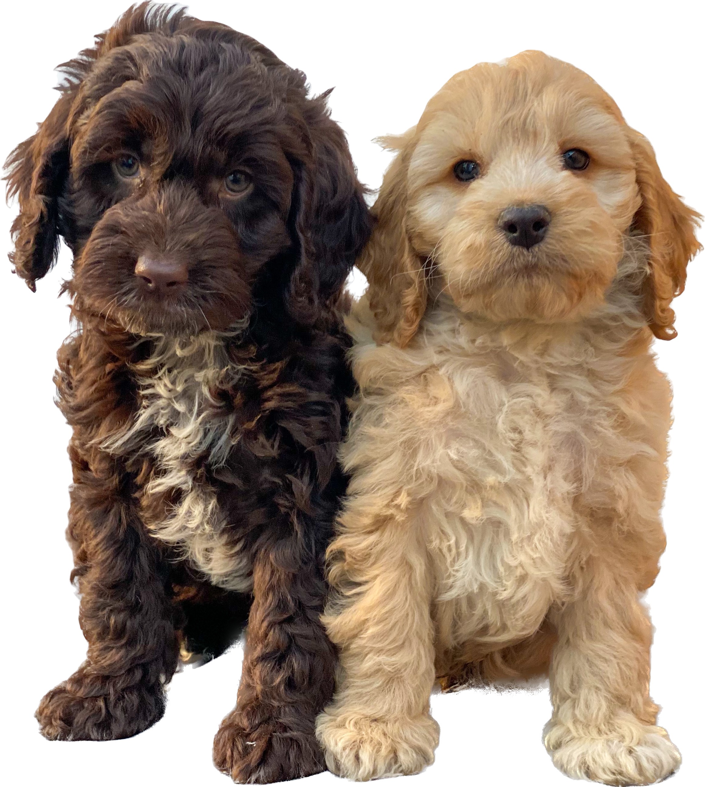 Visit Our Website thumbnail