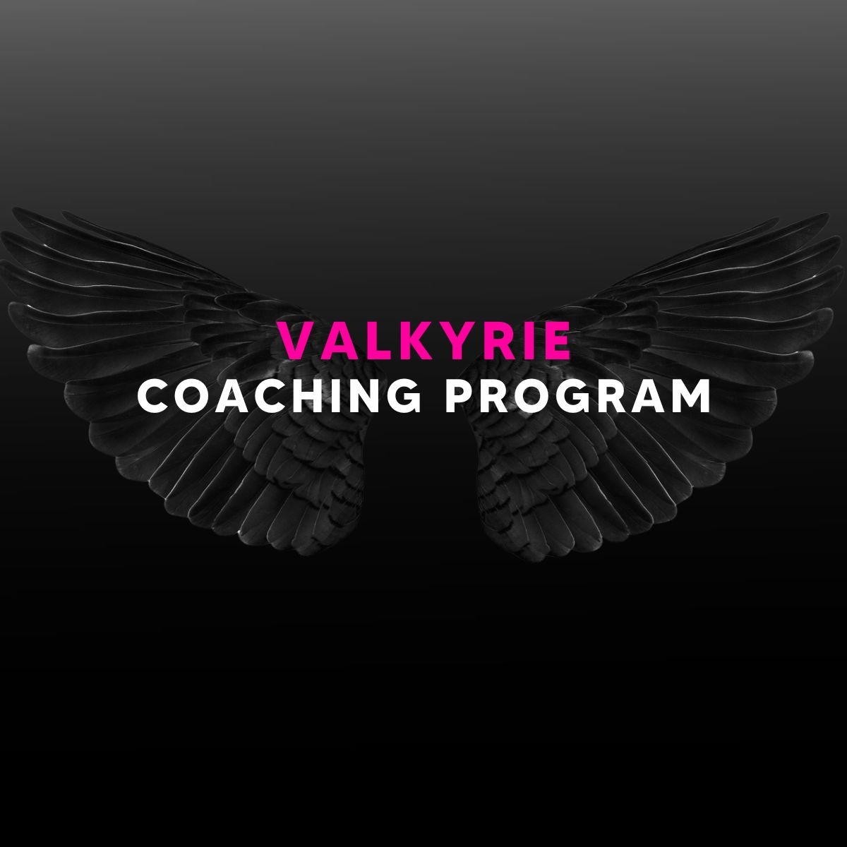 Valkyrie Coaching thumbnail