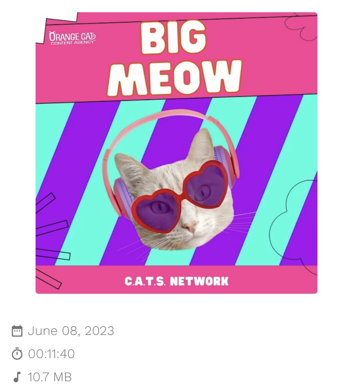 Big Meow Podcast Interview thumbnail