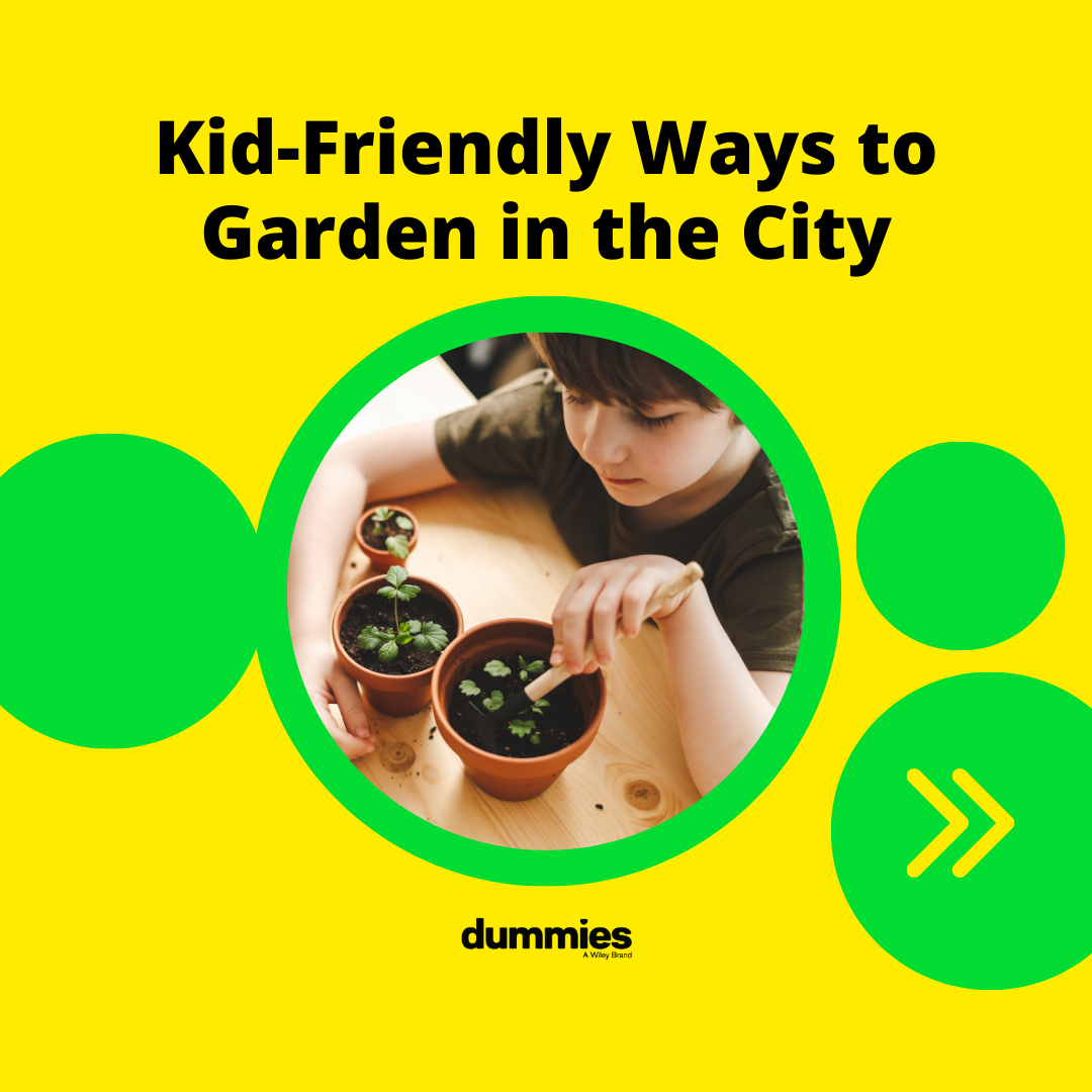 10 Kid-Friendly Ways to Garden in the City thumbnail