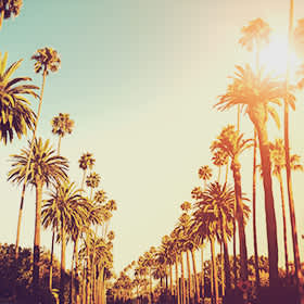 Events in Los Angeles (LA) | Fever Ambassador  thumbnail