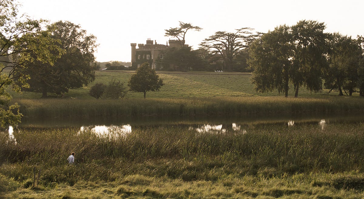 A Look at “Wilding” with Environmental Policy Pro Sally Hawkins thumbnail