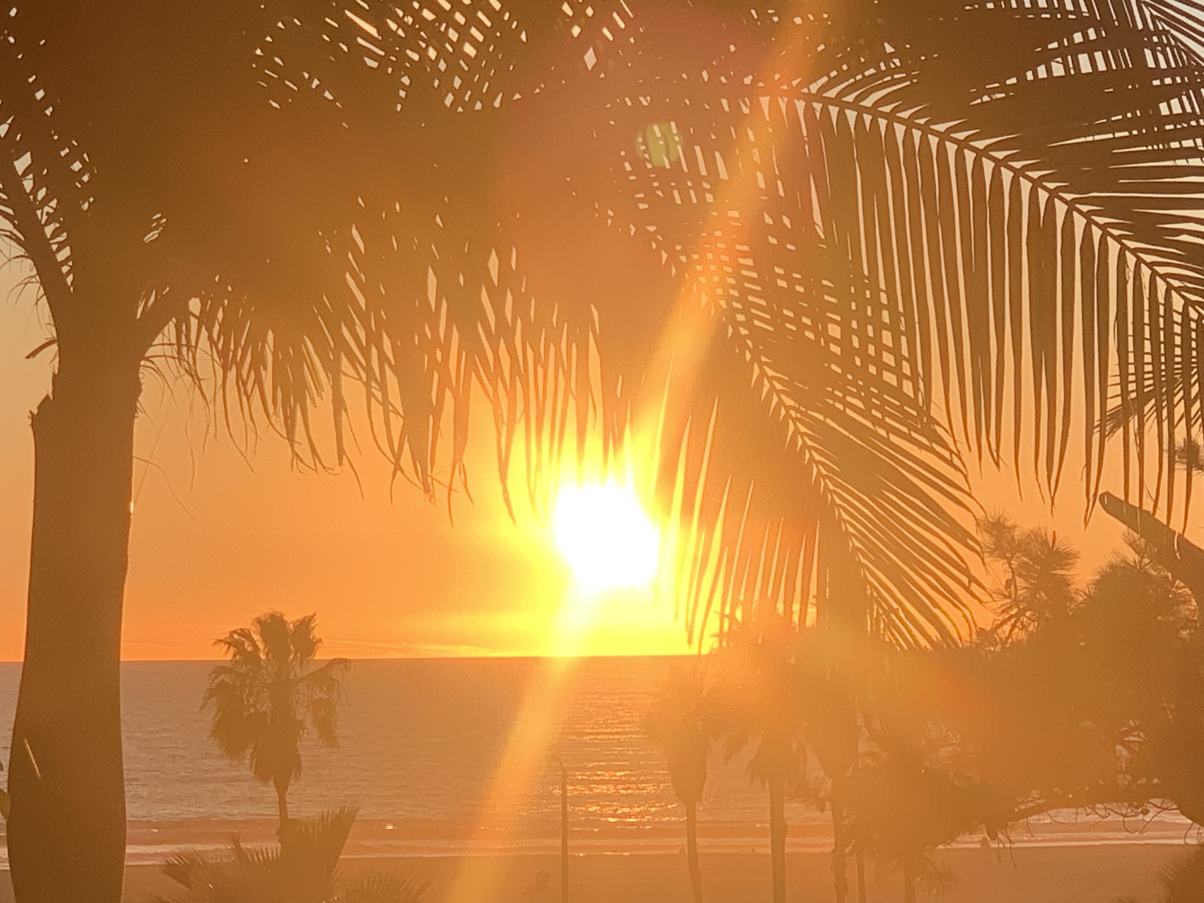 Stay Informed: Classes, Workshops & Retreats thumbnail