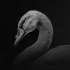 hpinstantinksco - Awwwards thumbnail