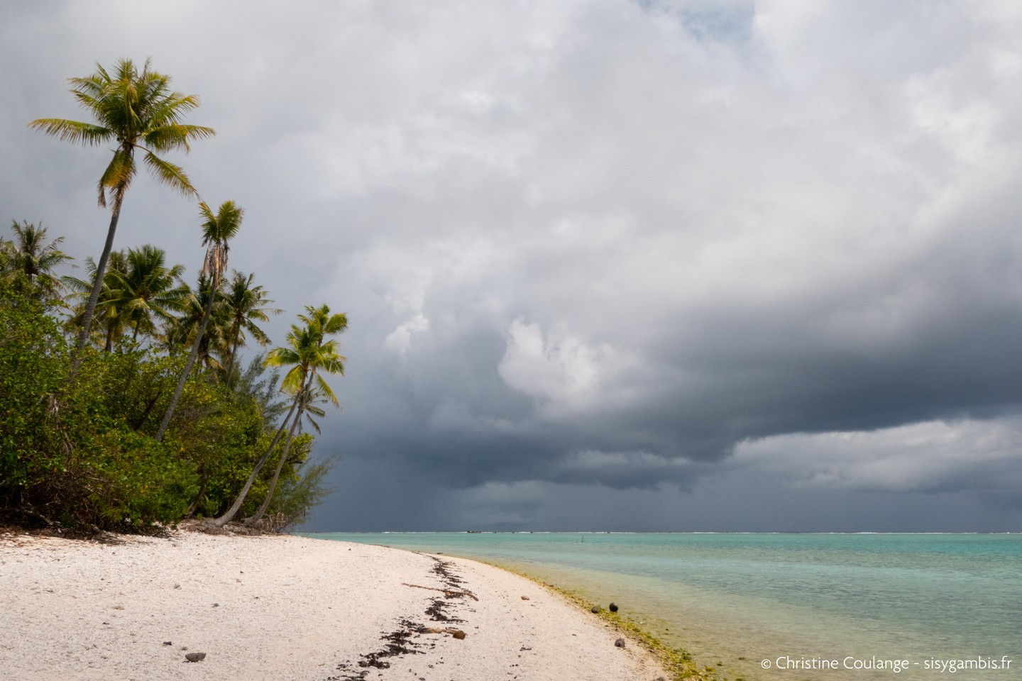 Les îles sous le vent, Pacifique Sud🏝️
.
.
.
#polynesie #polynesiefrancaise #borabora #island #travel #voyage #travelpho