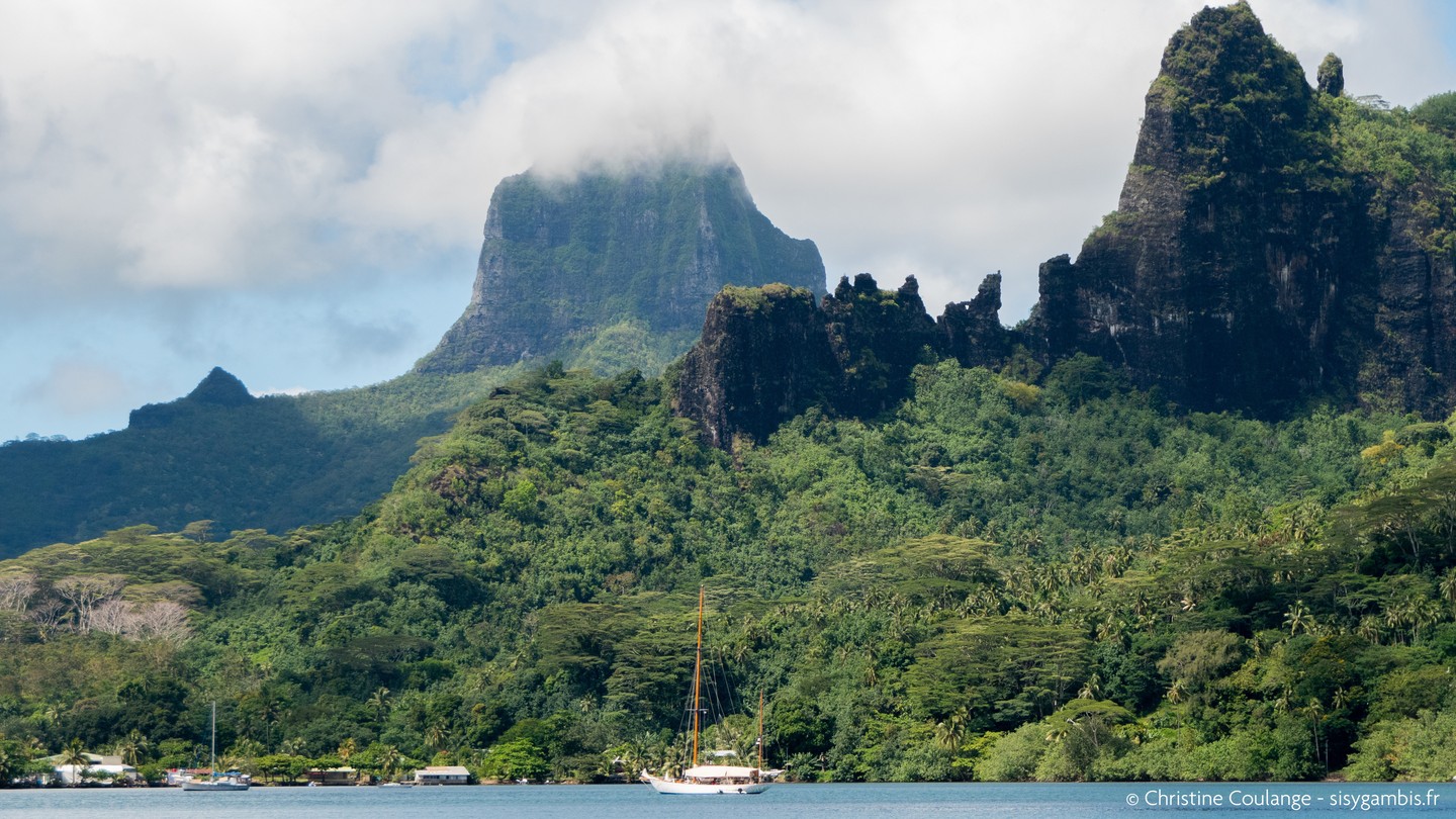 ⛵
.
.
.
#polynesie #polynesiefrancaise #moorea #island #travel #voyage #travelphotography #travelphotography #voyager #b
