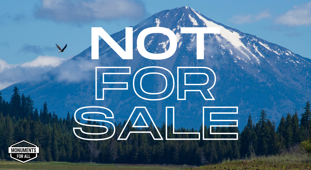 Millions for Monuments, not Monuments for Millionaires! thumbnail