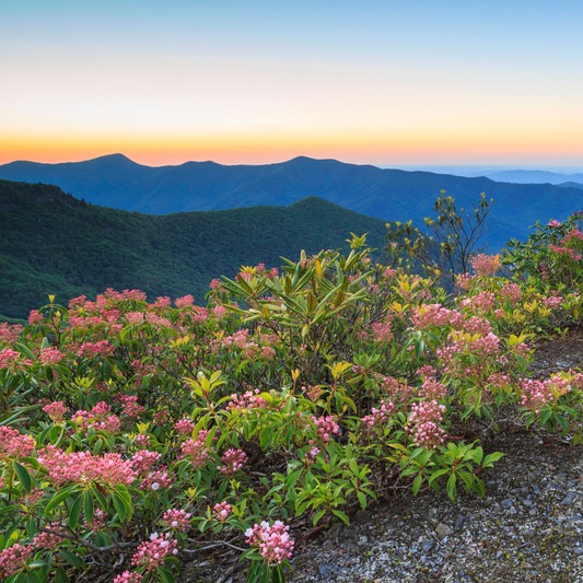 Protect Our National Park Service Staff thumbnail