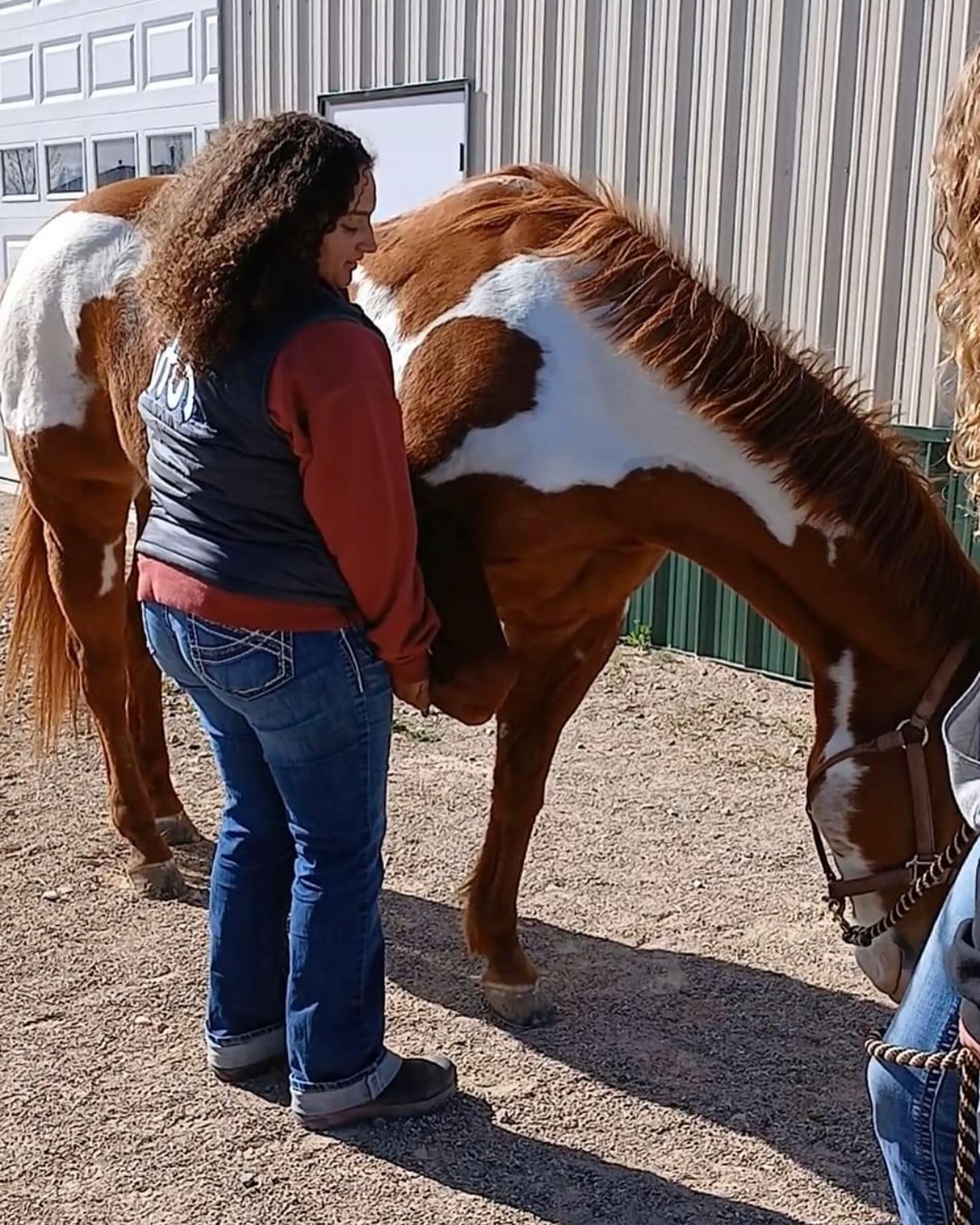 Thank you Iron Country 4-H group for letting me come do a small clinic on the importance of Equine body work, and the be