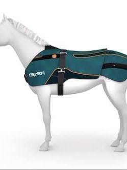 The BEMER horse therapy,blankets also known as a PEMF blanket for horses, is equipped with 19 flexible coils that transm