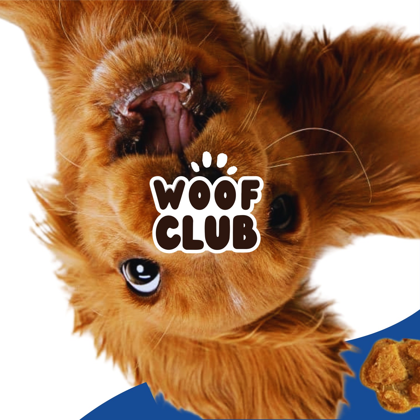Woof Club is here! 🐶💙

Woof Club serves to produce 100% natural dog food and dog treats for all breeds, ensuring your fu