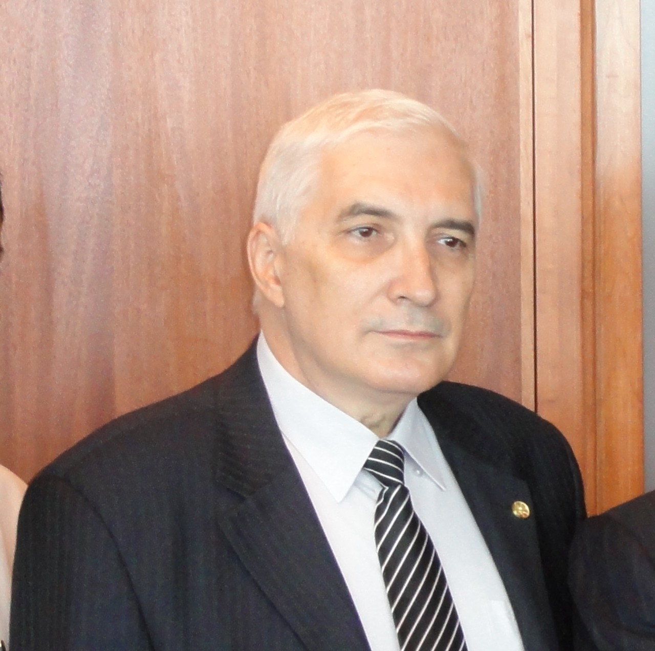 Academician MIRCEA CONSTANTINESCU - Bio Site thumbnail