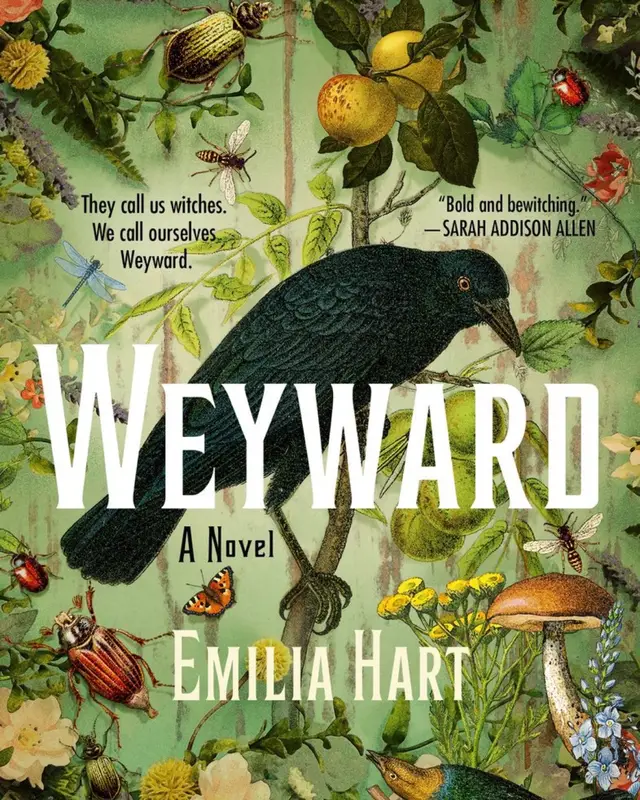 New books available on our website! Christmas sale begins November 15 and an additional 20% off on used books until the