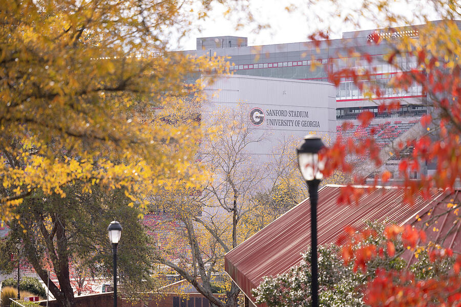 Sanford Stadium Framed Prints, Canvas Prints, and more! thumbnail