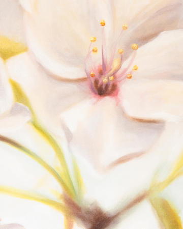 Original Paintings for Sale thumbnail