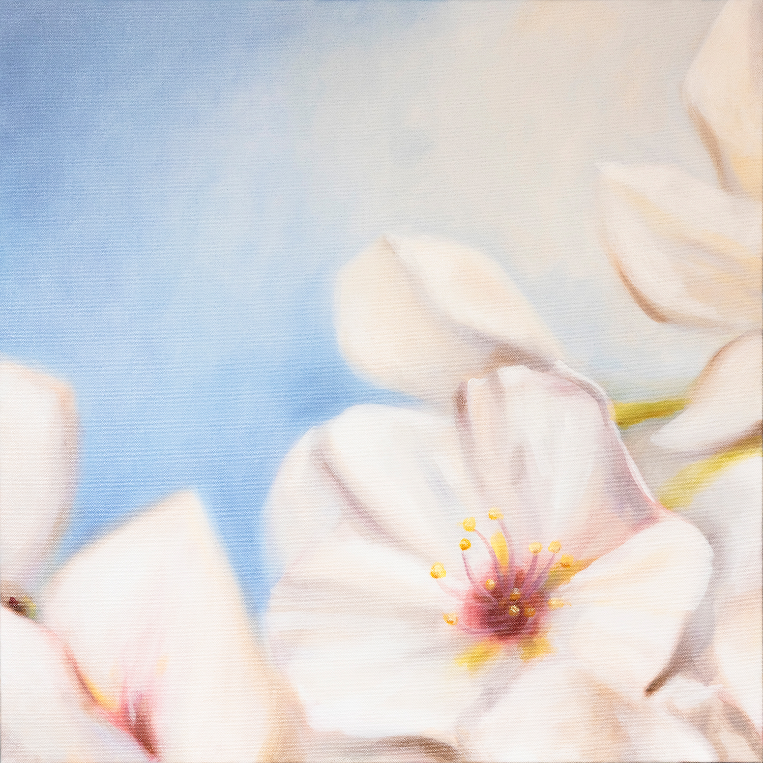 Cherry Blossoms 1 - 24" x 24" Oil on Canvas — Horn Art Co. thumbnail