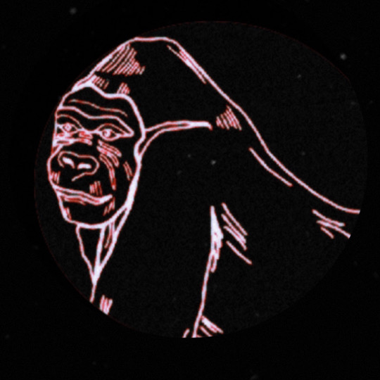 BioSite profile picture for @podcasts