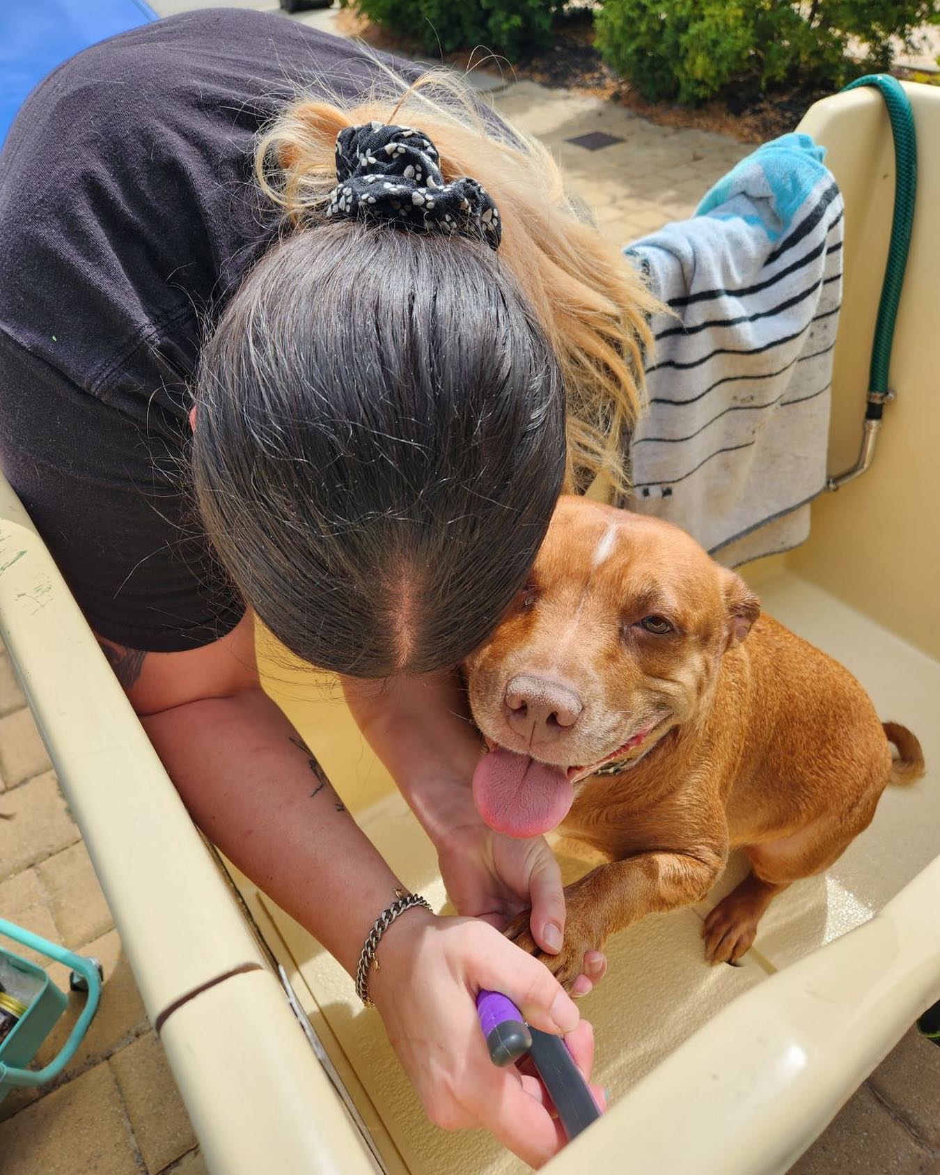 We do nail clipping 🌸 Gypsy being such a good girl for her nails 🐾