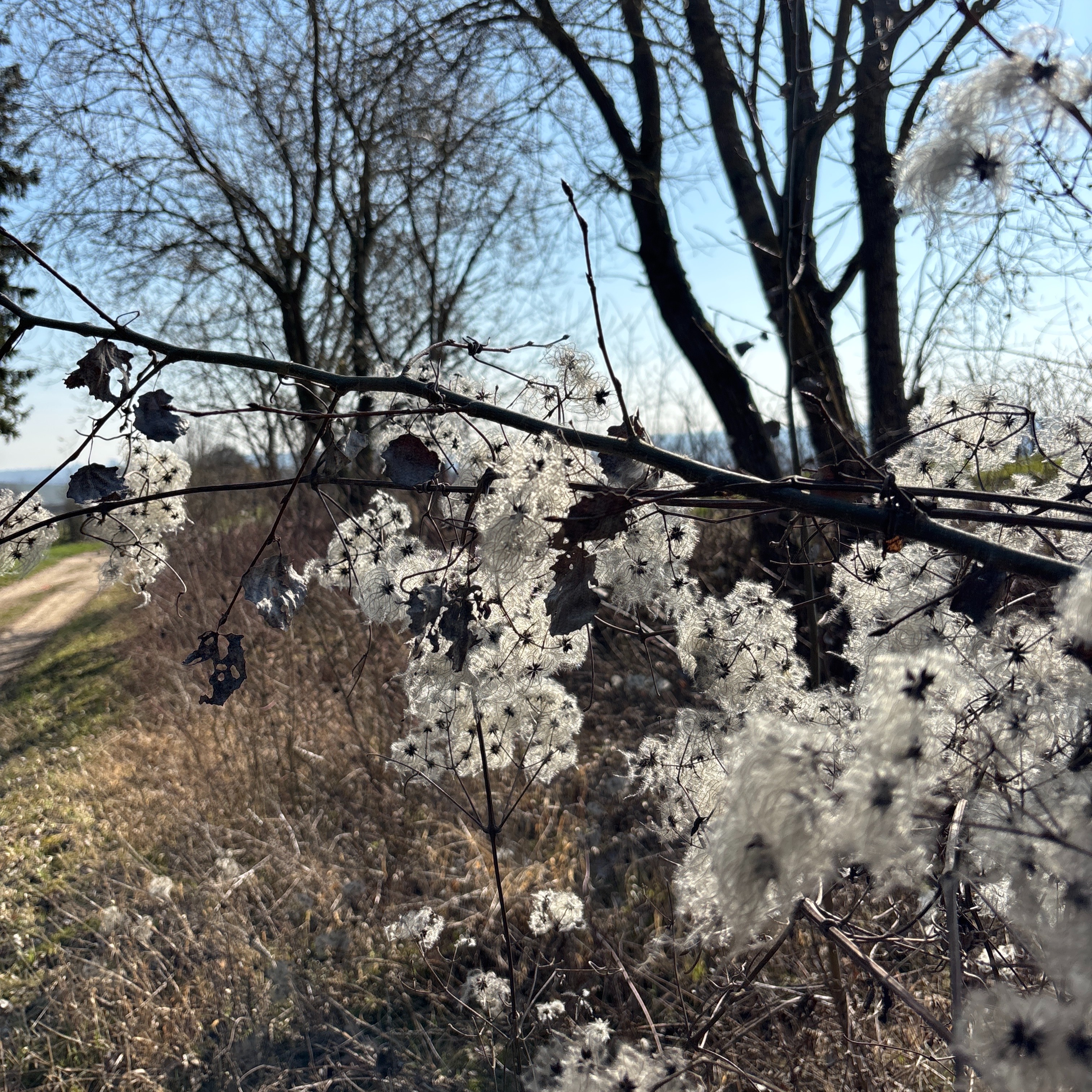 Gratis Frühjahrsspecial am 8.4. und 13.4. per Zoom - hier anmelden! thumbnail