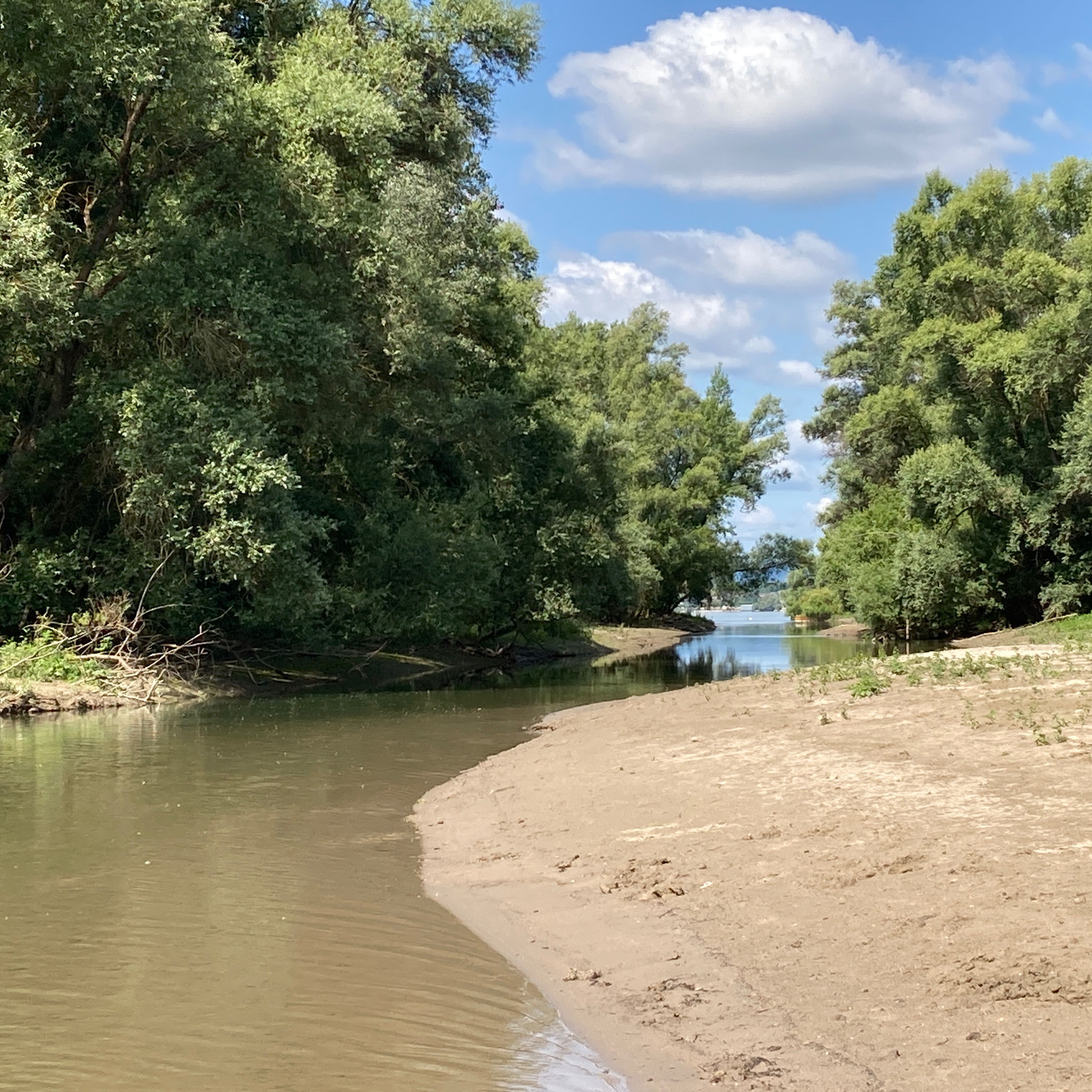 Specials 2026 thumbnail