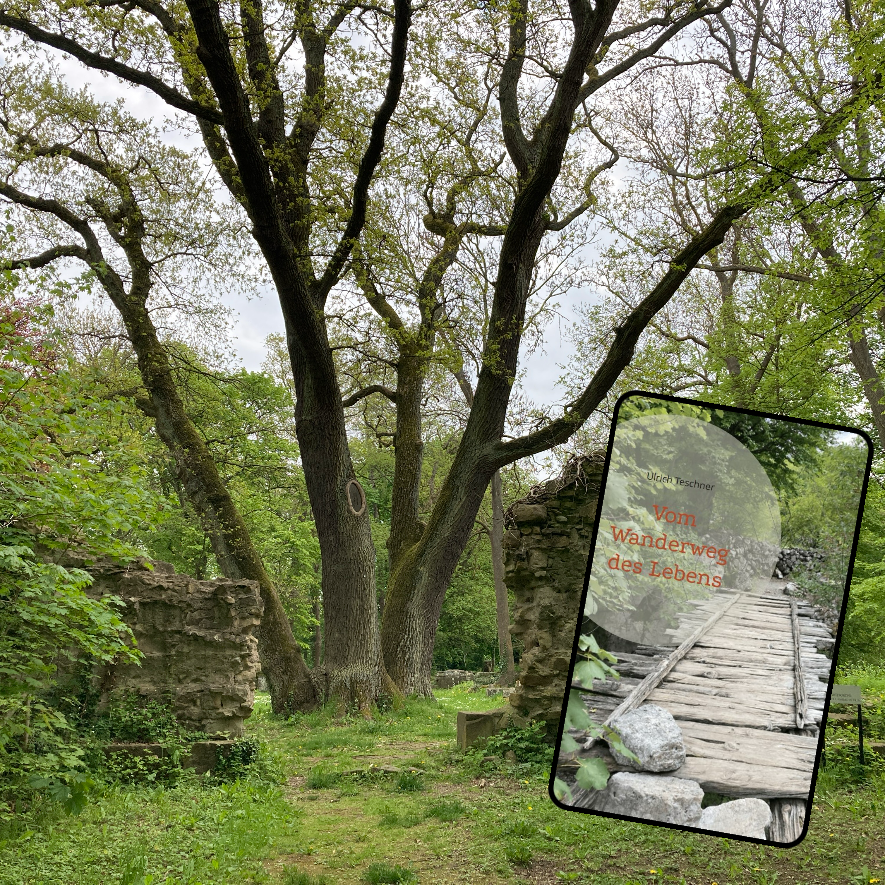 Wanderlesungen (zwischen 2,5 und 9km) thumbnail