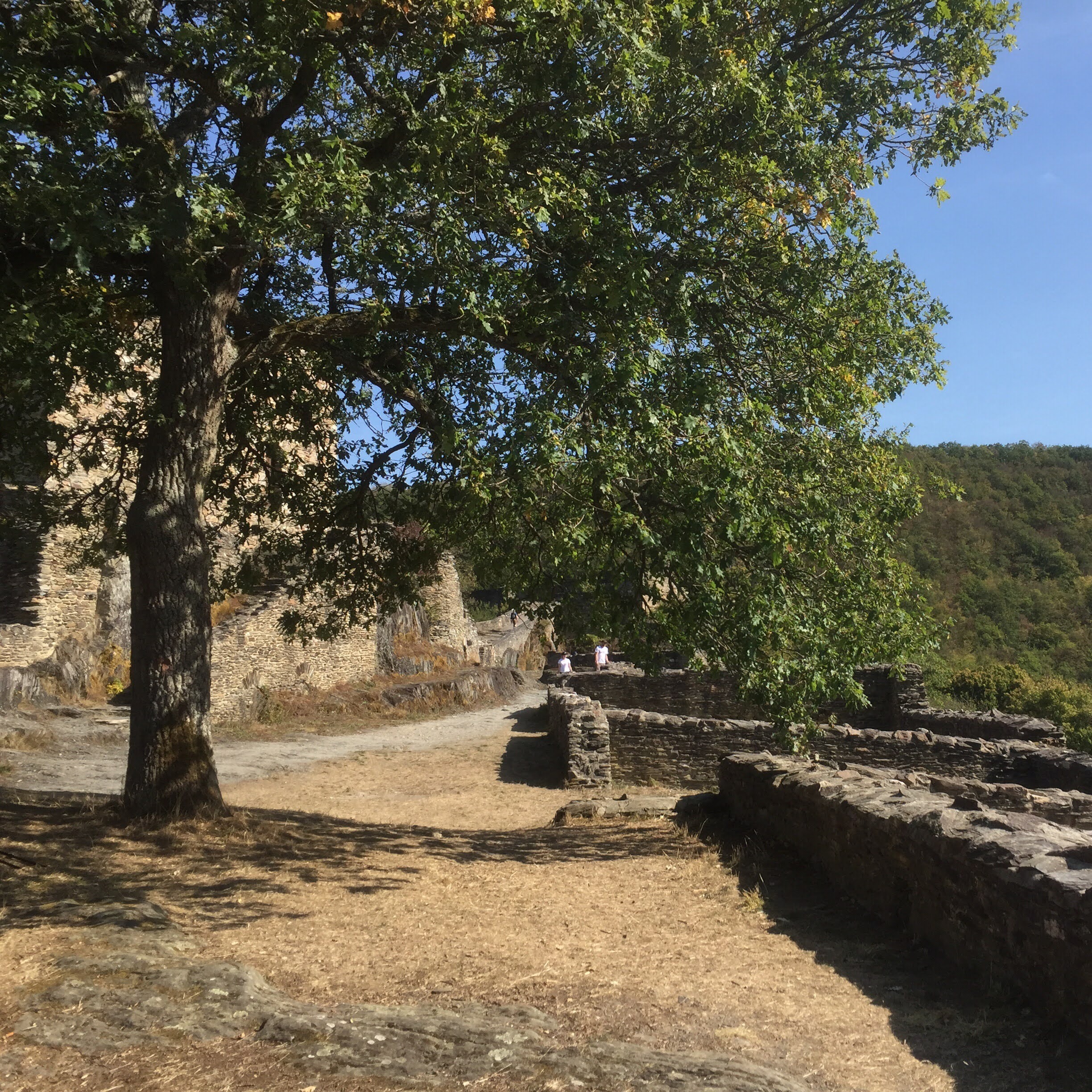 Anmeldung zum Workshop am 20./21. Sept. 2025 in der Schmidtburg thumbnail