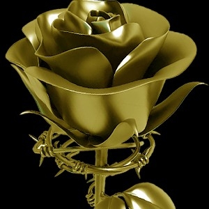DONATE to 100 Roses From Concrete thumbnail