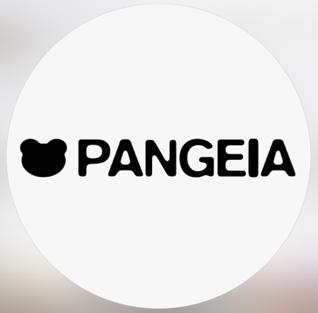 Pangeia 96 🏷️MARIARUFF10 thumbnail