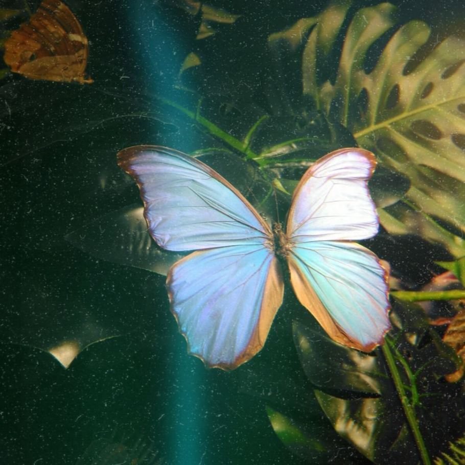 10 April - Attune (Formerly Amplify) - In person breath, meditation and energetics thumbnail