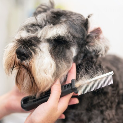 Desembolo de pelos - A partir de thumbnail