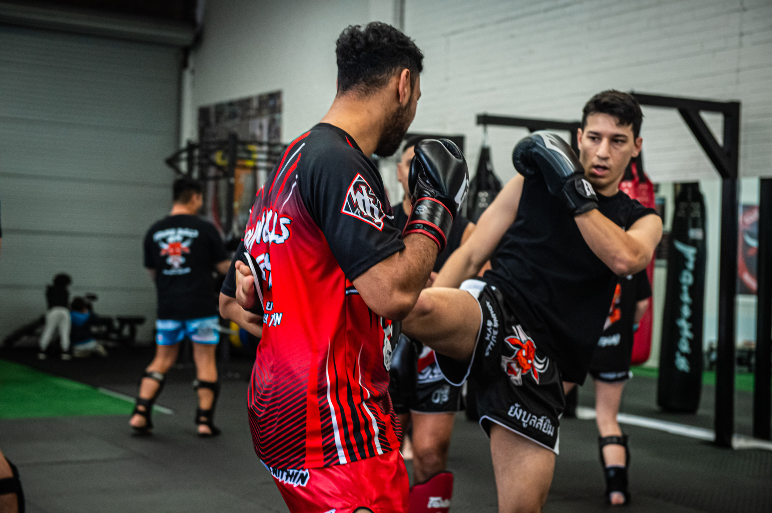 About Young Bulls Gym thumbnail