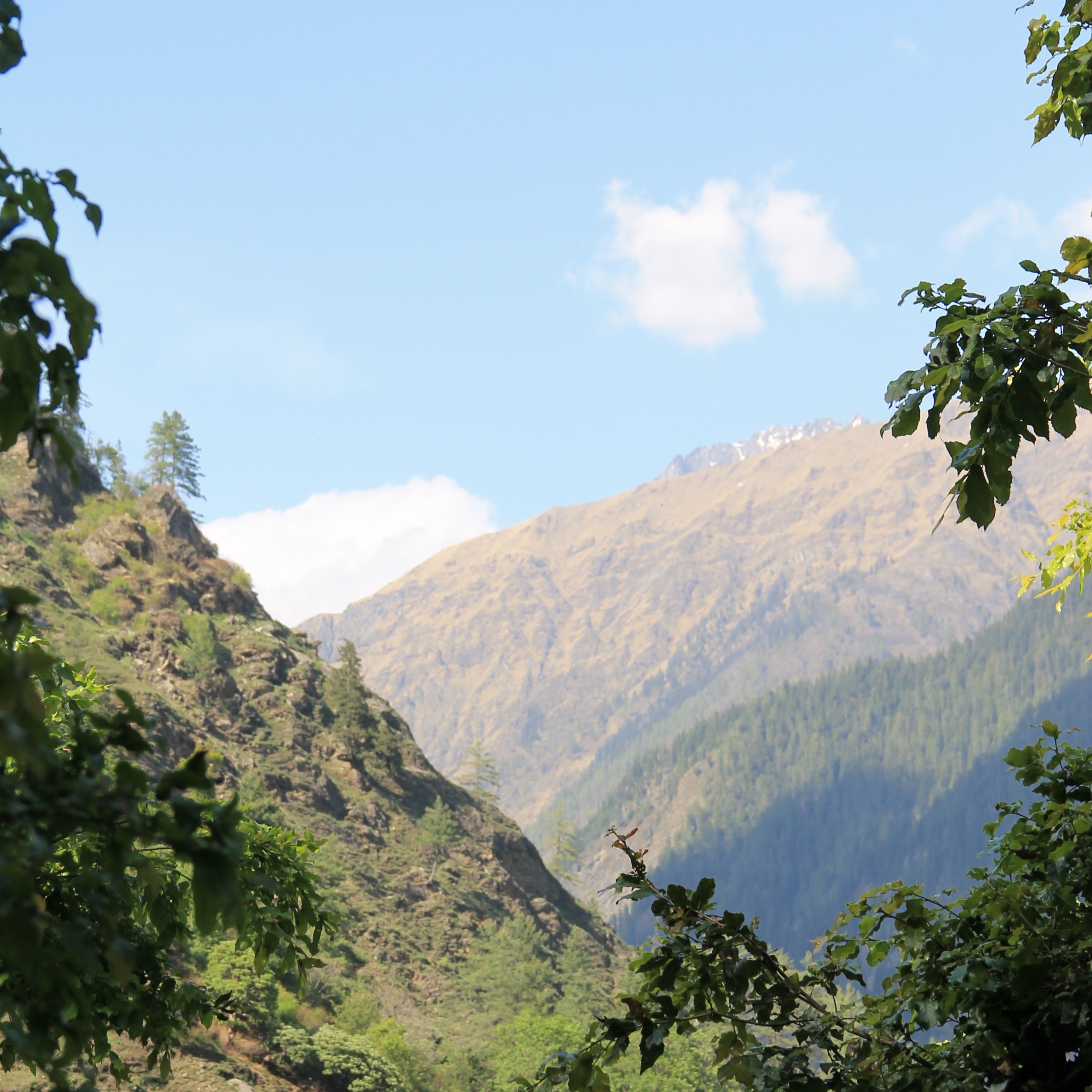 PRE REGISTRATION : Sacred Sound Trek in Himalayas AUG'25 thumbnail