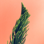 Schedule an Appointment thumbnail