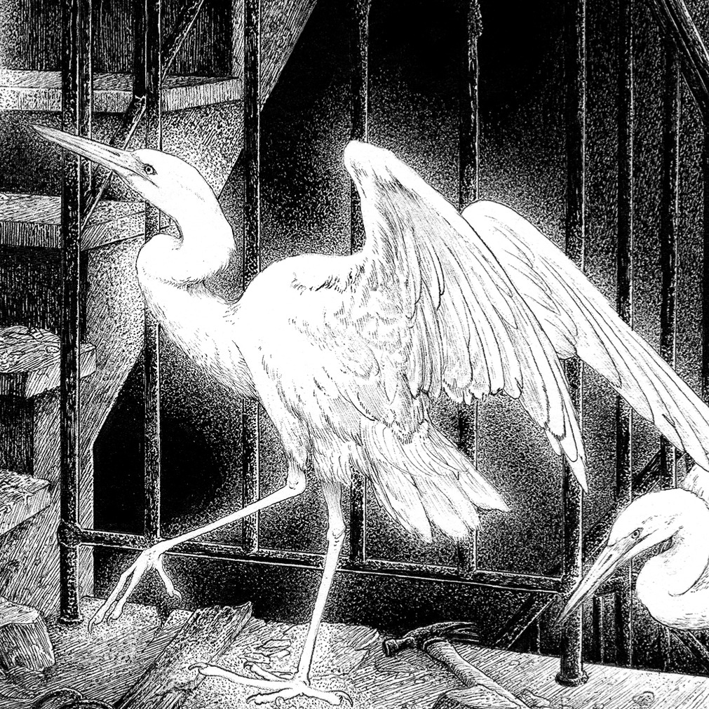 ONLINE SHOP ( USA ) thumbnail