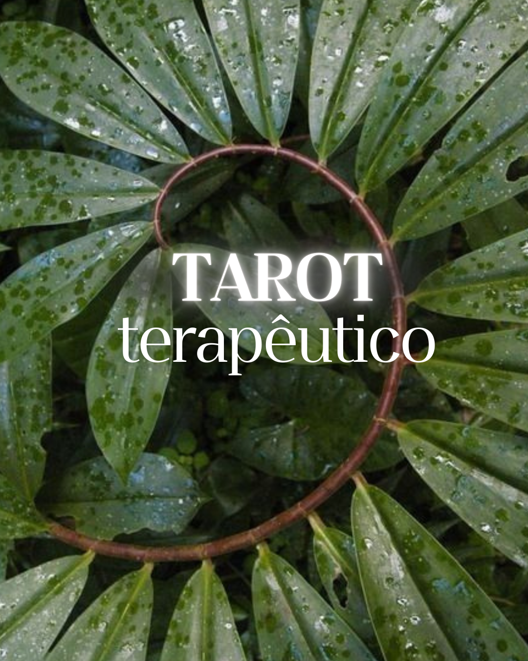 Tarô terapêutico| Agende thumbnail