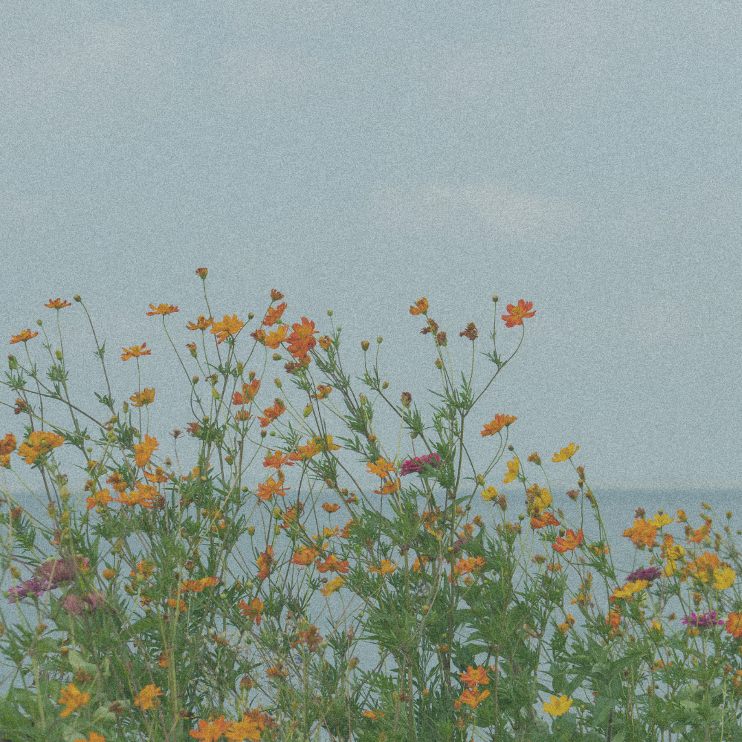 Alas De Esperanza |Terapia Cristiana Bilingüe en Birmingham, AL | Consejería para Trauma, Ansiedad y Duelo thumbnail