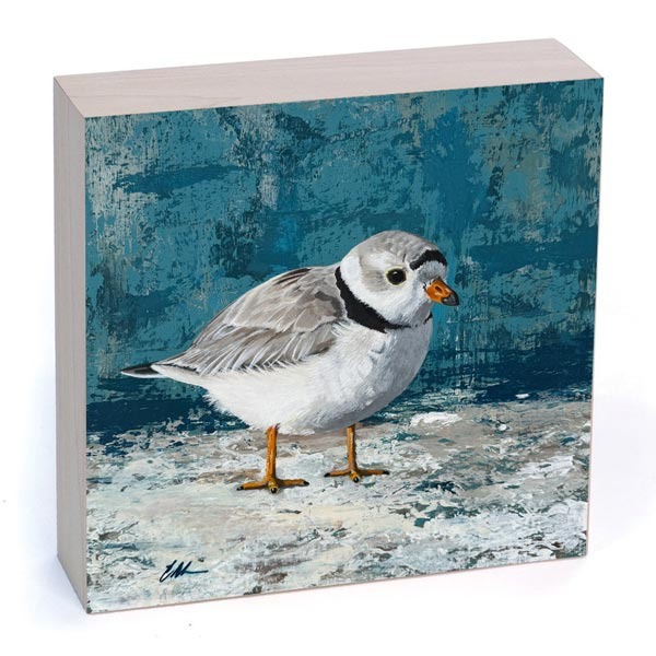 The Studio Shop thumbnail