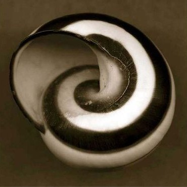 may 1st, 2026 ~ spring spiral ~ art vendor application thumbnail