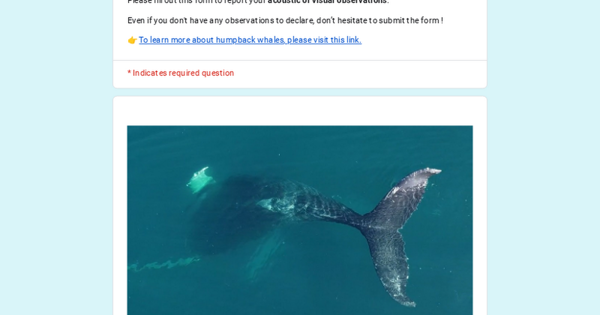 Sounds of the Caribbean Sea -  Season 2 thumbnail