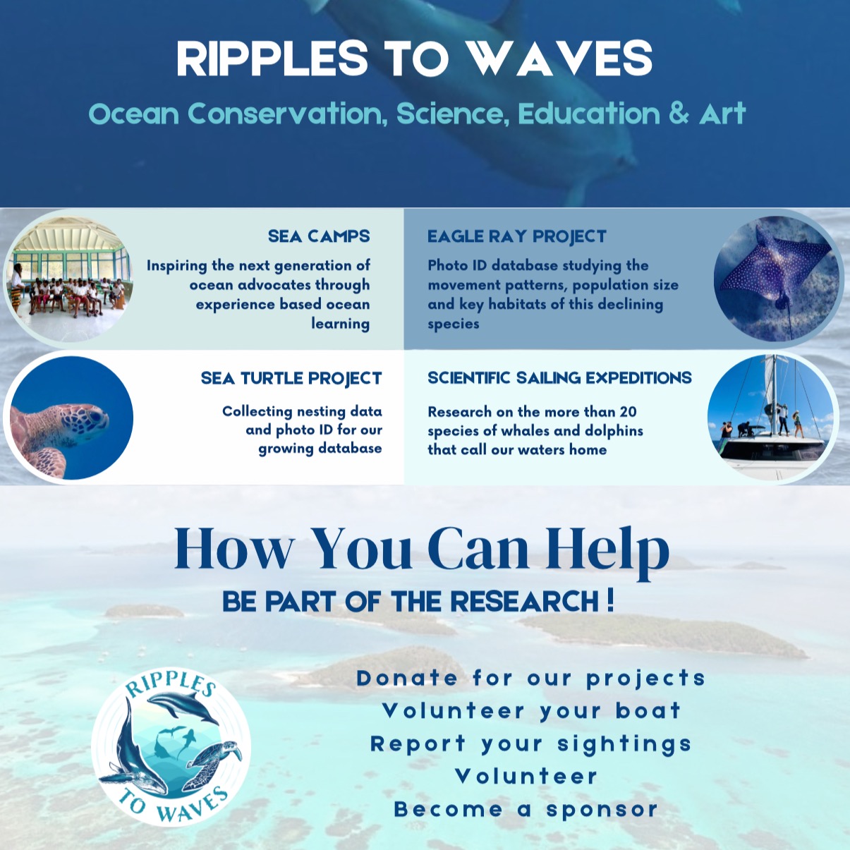 How You Can Help  thumbnail